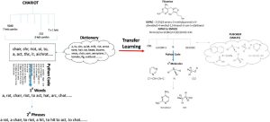 Figure 5. Transfer learning in medicinal chemistry