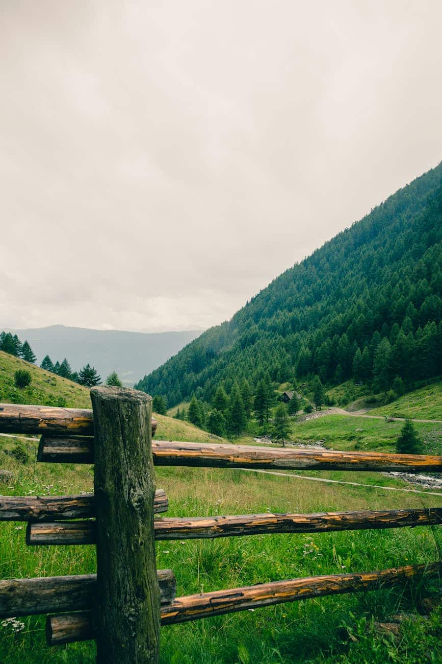 landscape mountains field trees